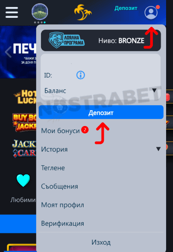 palms bet Профил - Депозит